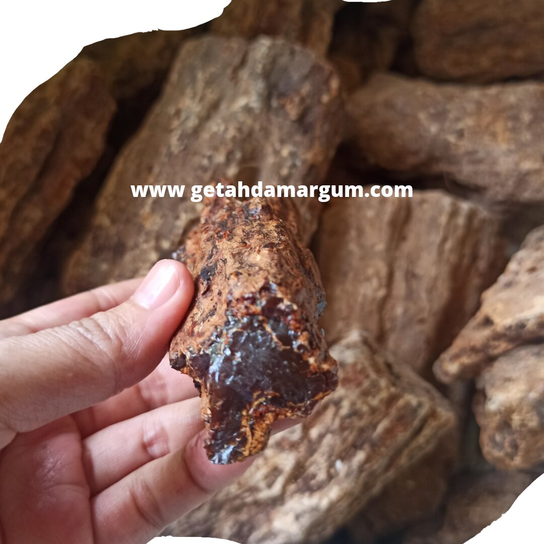 Products Getah Damar Damar Gum Damar Resin